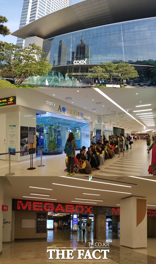 코엑스몰은 쇼핑몰과 세계 각국의 맛을 즐길 수 있는 음식점, 영화관, 아쿠아리움 등 각종 생활시설이 밀집돼 있는 거대한 지하 세상이다. /삼성=변동진 기자
