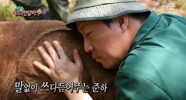 코끼리의 수명은 몇 년? 코끼리의 수명이 주목받고 있는 가운데 정준하와 아기코끼리 도토가 다시 만날 수 있을 지 네티즌의 이목이 집중되고 있다./MBC 무한도전 방송 캡처