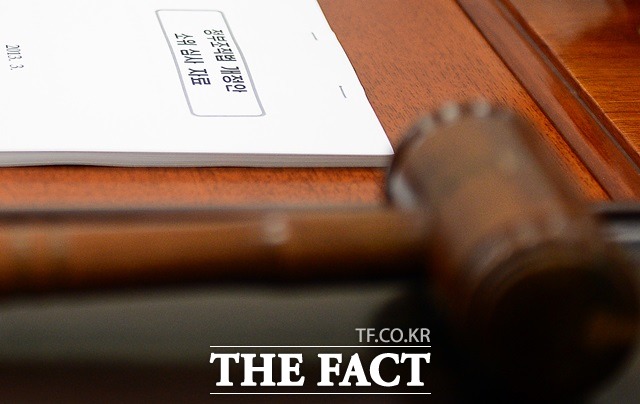 판박이 법안 유사한 내용의 개정안이 우후죽순처럼 발의되고 있다./더팩트DB