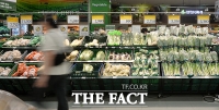 [TF포토] 한산한 대형마트 채소 판매장