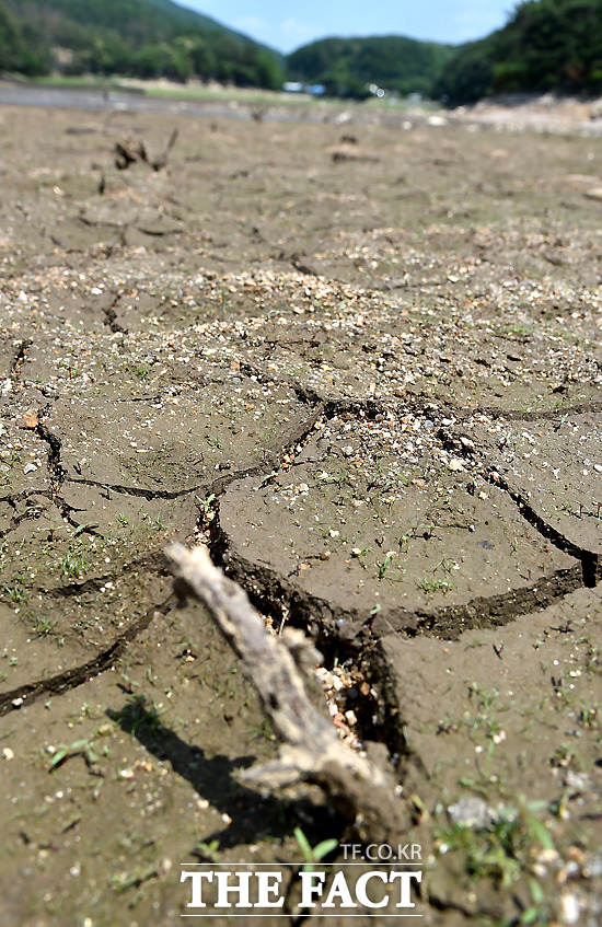 전국에 극심한 가뭄이 계속되고 있는 가운데 18일 오전 포천시 영북면 산정호수의 물이 말라 갈라진 바닥을 드러내고 있다. /포천=이새롬 기자