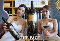 [TF포토] 일반 와인보다 24배 큰 초대형 와인 '루체'