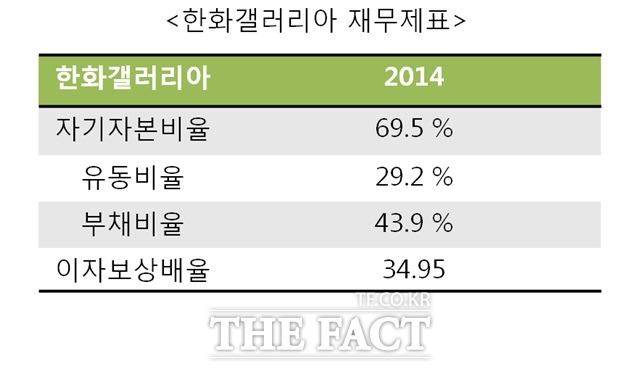 한화갤러리아의 재무 상황은 우수한 편에 속했다.