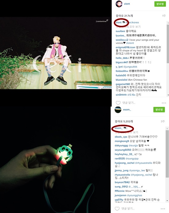 두 사람의 비밀 암호는 코끼리? 유행에 민감한 20대 커플 자이언티와 이솜은 사진공유 애플리케이션 인스타그램을 통해 서로를 향한 애정을 드러냈다. /자이언티 이솜 인스타그램