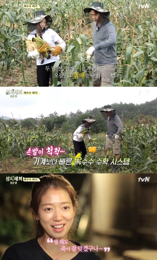삼시세끼 새 콤비. 배우 박신혜(사진)가 옥수수를 수확하며 옥택연과 호흡을 느꼈다. /삼시세끼 방송 캡처