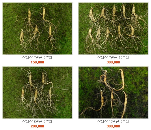 강원삼마을의 이번 추천 상품은 산양산삼의 재배연수와 뿌리 수에 따라 모두 4종류로 구성됐다. 이들 상품은 추석을 맞아 감사카드와 함께 발송된다. /강원삼마을 홈페이지 캡처
