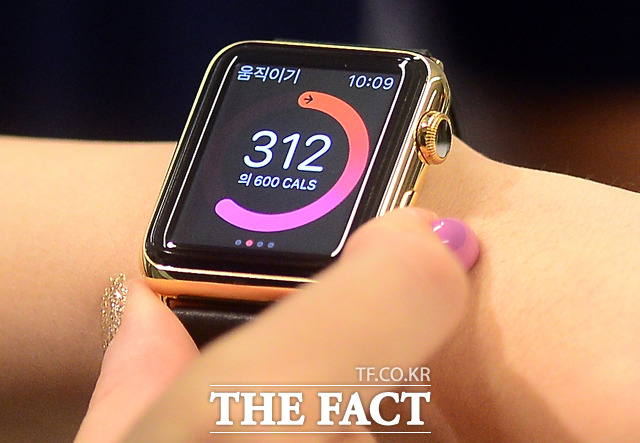 KT가 23일부터 주요 매장 12곳에서 애플워치를 판매한다. KT는 애플워치와 애플워치 스포츠 두 가지 모델을 선보인다. /더팩트DB