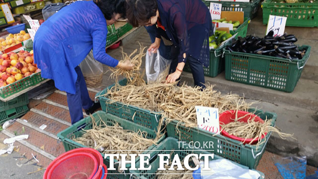 장 보기? 쉽지 않죠 지난 22일 <더팩트>는 서울 금천구 독산동 남문시장을 찾았다. 남문시장에서 명절증후군에 대한 주부들의 이야기를 들어보고 장을 직접 보기도 했다. /남문시장=이성락 기자