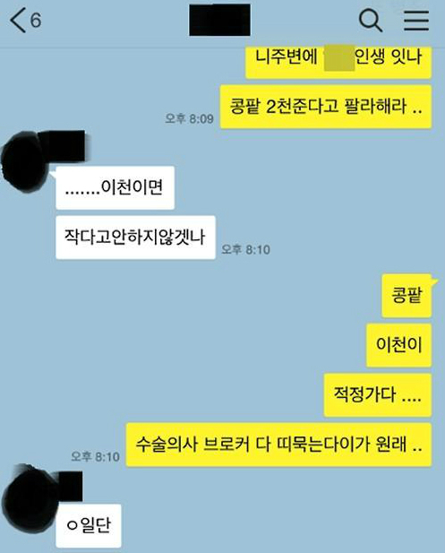 장기적출을 목적으로 가출 10대 청소년을 유인한 뒤 장기밀매를 시도한 일당이 검거됐다고 19일 경찰이 밝혔다. / 부산경찰청