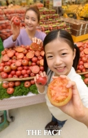 [TF포토] 이마트, '달짝이 토마토 판매'
