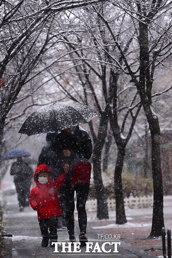 3일 오전 서울에 올겨울 첫 대설주의보가 내려진 가운데 서울 금천구 가산동에서 시민들이 눈을 맞으며 걸어가고 있다. /님윤호 기자