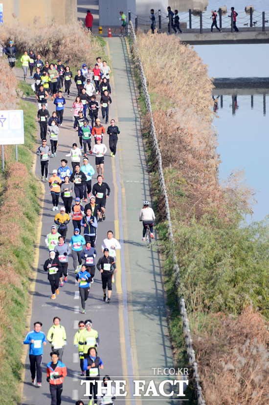 겨울을 즐기자 6일 오전 서울 잠실종합운동장 보조경기장에서 더팩트 2015 시즌마감 42.195 레이스 마라톤 대회가 열린 가운데 참가자들이 청담교를 지나 달리고 있다.