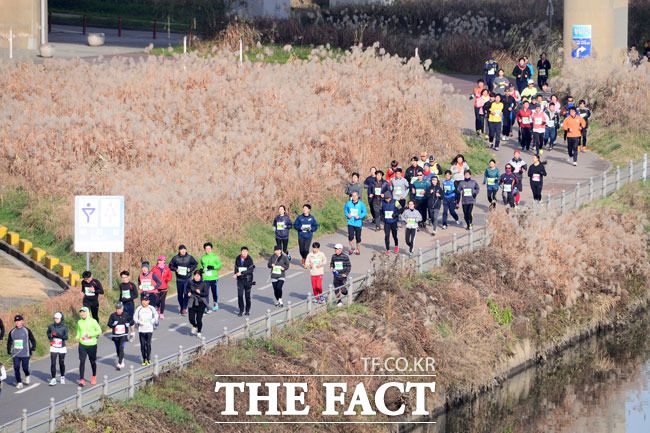 겨울 정취 느끼며 6일 오전 서울 잠실종합운동장 보조경기장에서 더팩트 2015 시즌마감 42.195 레이스 마라톤 대회가 열린 가운데 참가자들이 청담교를 지나 달리고 있다.