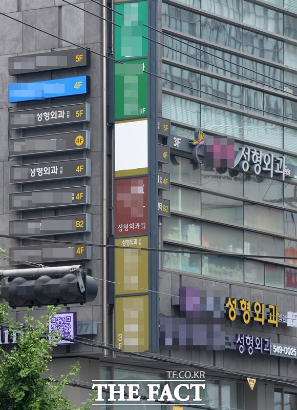 공정거래위원회가 성형수술 관련 소비자 피해주의보를 발령했다. 사진은 기사 내용과 무관/더팩트 DB