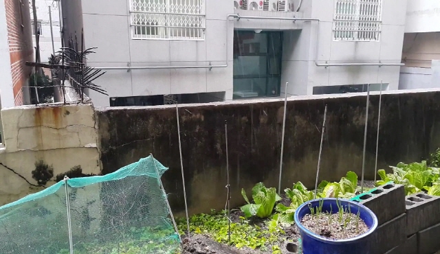 부산 날씨 우박! 17일 오후 우박이 내리면서 부산날씨가 주목받고 있다. /유튜브 영상 캡처