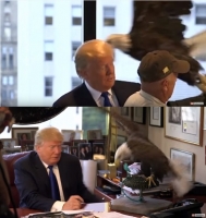  [영상] '굴욕' 트럼프, 美 상징 독수리 '무서워'