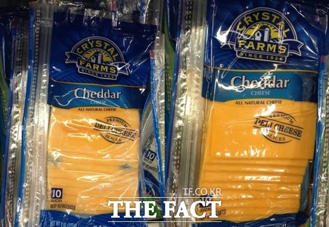 곰팡이 치즈(왼쪽)와 보통 치즈