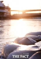 [TF포토] '한강 첫 결빙'…줄줄이 얼어있는 돌다리