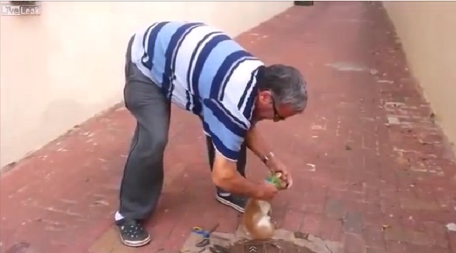 최근 동영상 사이트 유튜브에서 위기 상황에 빠진 동물을 구해주는 사람들의 선행을 담은 영상이 누리꾼들의 이목을 끌고 있다. /유튜브 영상 캡처