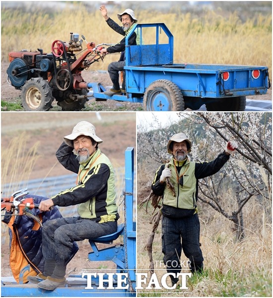 강기갑 전 통합진보당 대표는 경운기를 운전하고, 산에서 칡을 캐는 등 농군의 삶을 살고 있다.