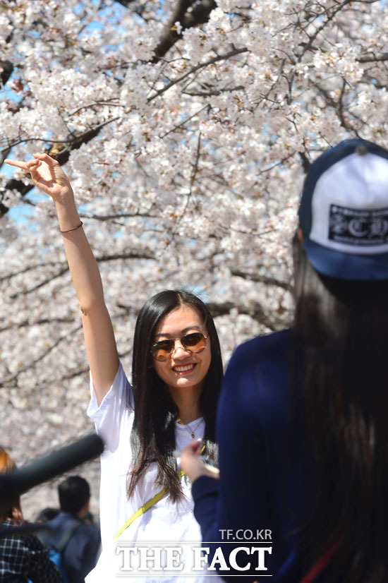한국의 봄을 만끽하는 중국인 관광객