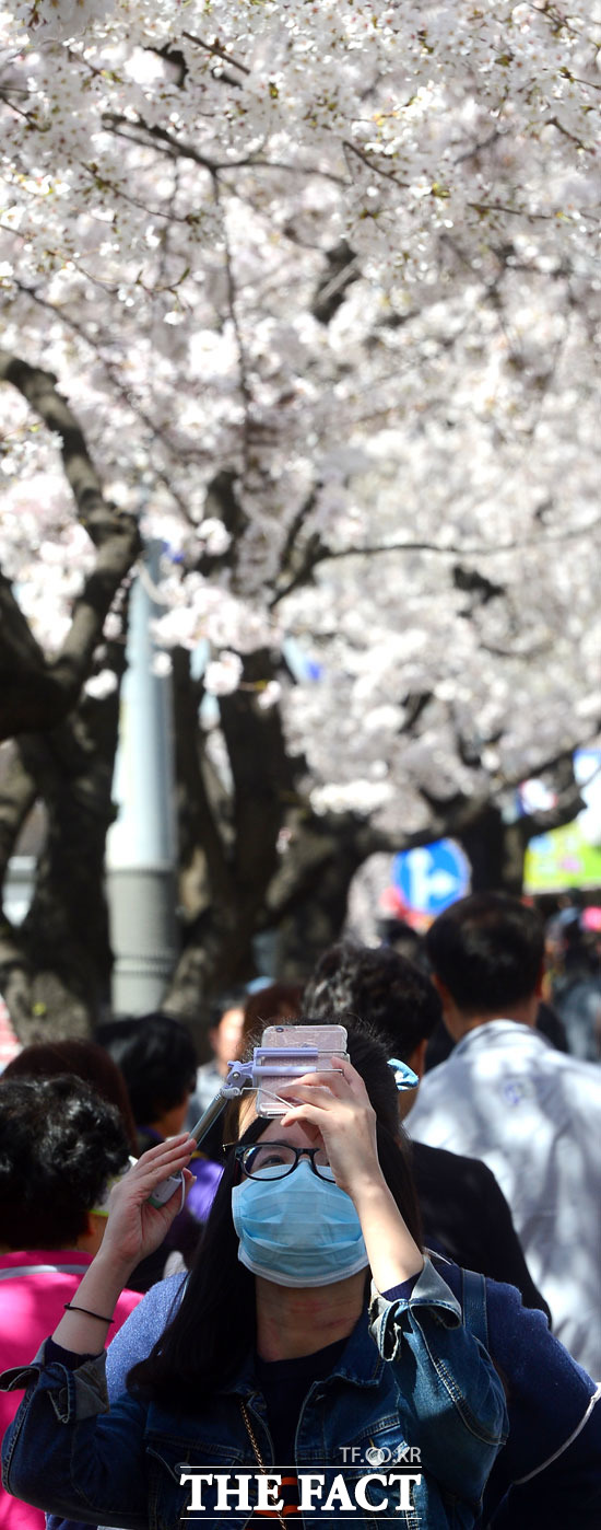 공기가 좀 안 좋지만...