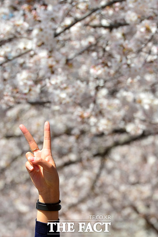 반가운 봄의 정취