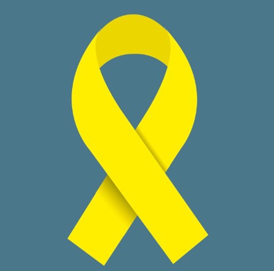 세월호 참사 2주기 추모. 연예인들도 세월호 참사 2주기를 맞아 추모글을 올렸다. /경향신문 트위터