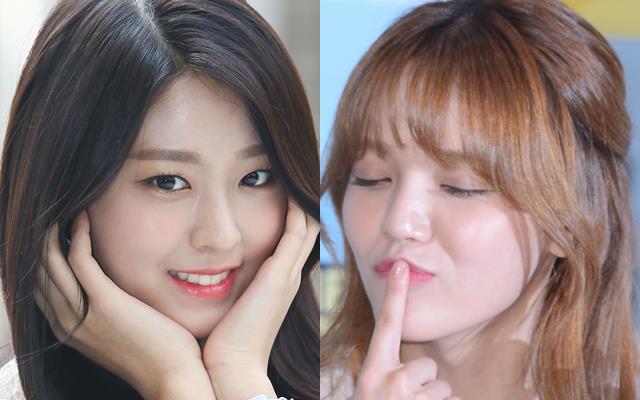 역사 퀴즈 발언 논란과 관련 공식사과. 대세 걸그룹 AOA 간판 얼굴인 설현(왼쪽)과 지민의 역사지식 수준에 대한 네티즌들의 반발이 좀처럼 수그러들지 않고 있다. /더팩트 DB