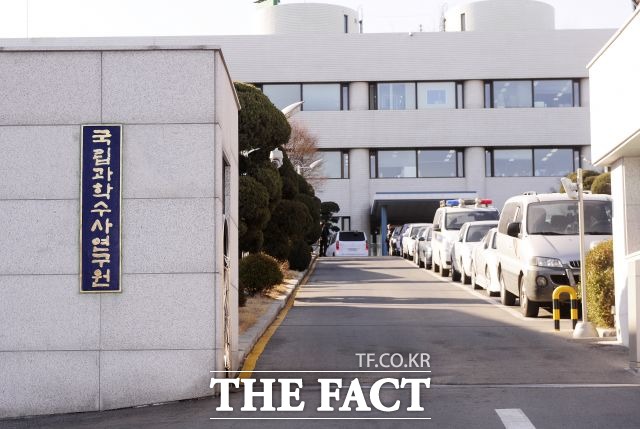 급발진 의심 조사. 지난 23일 아침 8시쯤 서울 독산동의 한 도로에서 한 SUV가 속도를 줄이는 순간 갑자기 가속해 정지한 앞차를 들이받았다. /더팩트 DB