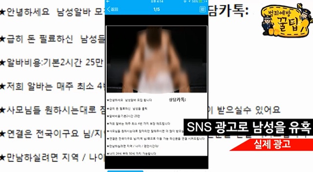 경기 시흥경찰서는 사모님 접대 아르바이트를 모집한다는 신종 보이스피징 범죄 피의자를 검거했다고 8일 밝혔다. 보이스피싱 조직은 SNSㅡ를 통해 남성 알바 모집. 기본 2시간 25만 원. 사모님들 원하는 대로 잠자리만 잘 해주면 더 많이 받을 수 있다. 나이 24~50세 가능하다 등의 광고로 남성들을 모집하다 덜미가 잡혔다. /경기 시흥경찰서 제공
