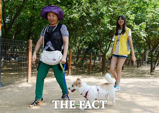 유기견 입양행사에 참석한 한 시민이 강아지와 함께 산책을 하고 있다.