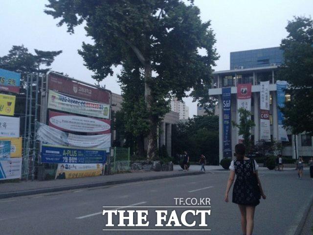 지난 17일 서울 안암동 고려대학교 캠퍼스 전경.