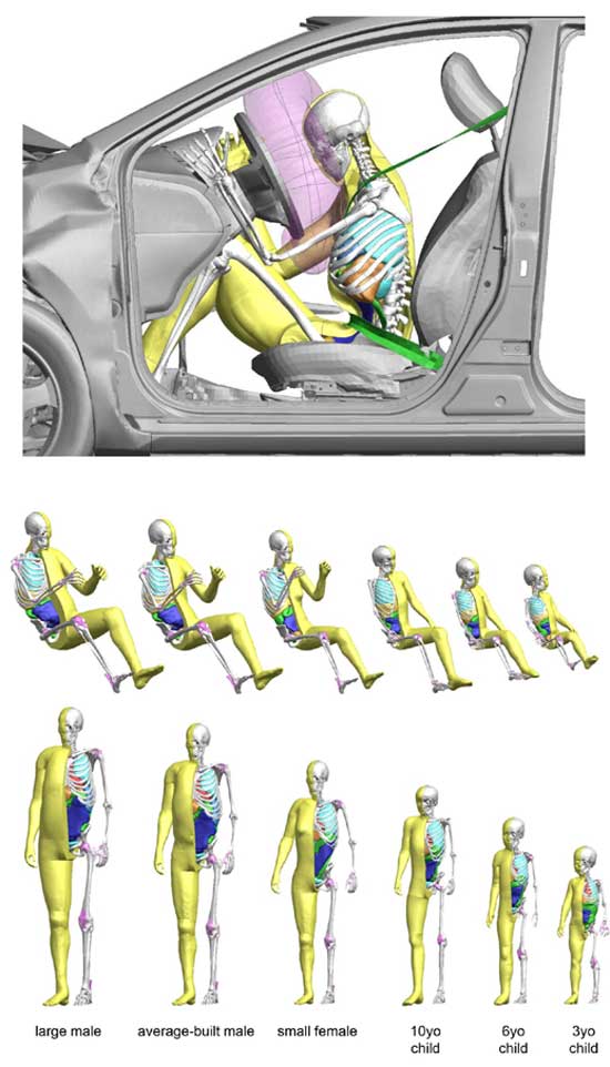 도요타가 개발한 썸스는 인체에 충격이 가해졌을 때의 상해를 컴퓨터에서 시뮬레이션할 수 있는 버추얼 인체 모델로 각 부위의 상해 정도를 예측한다. /도요타 제공