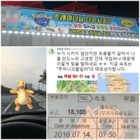 포토기사 사진