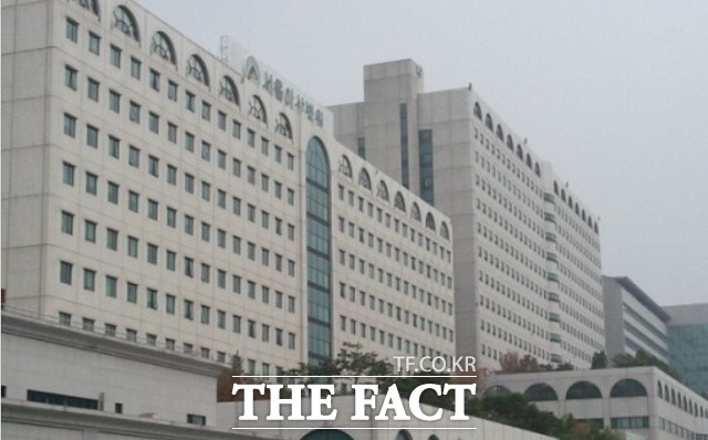 정부는 지난달 서울아산병원에 가습기살균제 성분이 인체에 미치는 또 다른 피해 여부를 확인하기 위해 위탁연구를 의로했다. /더팩트DB