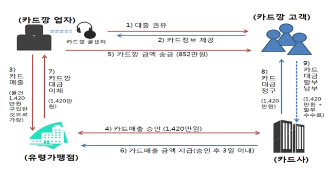 금융감독원에 따르면 지난해부터 올해 6월까지 카드깡 및 유사수신 등 불법 카드거래행위는 2만7921건 발생했다. /금융감독원 제공