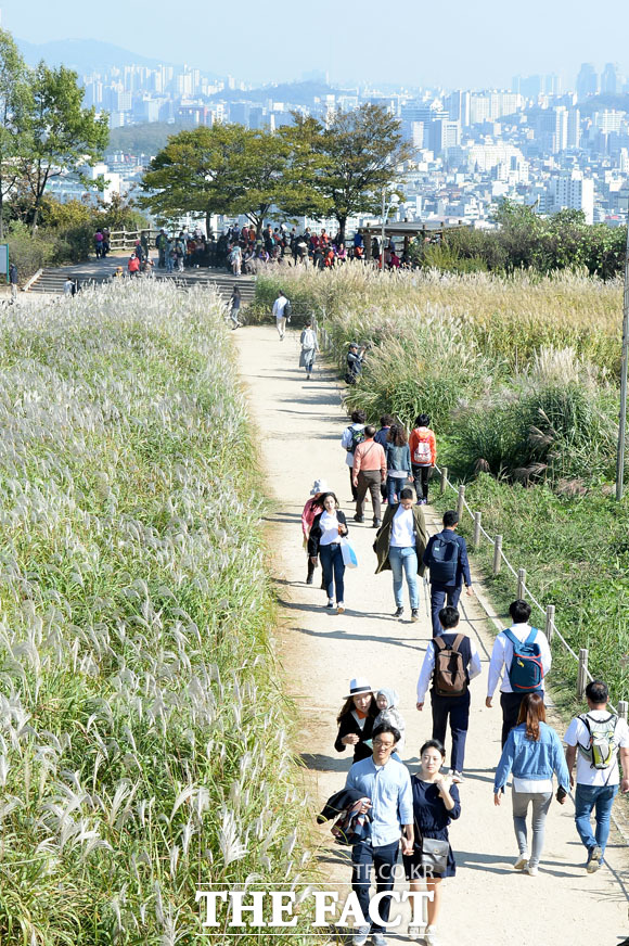 높은 곳에서 내려다보니 가을이 더 와 닿네요!