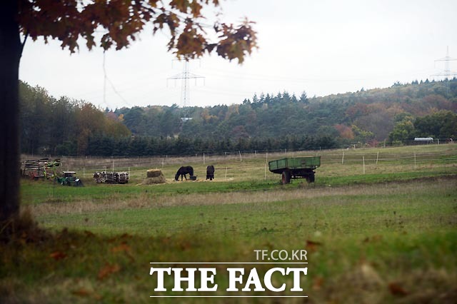국정개입 논란의 중심에 있는 최순실(60) 씨의 딸 정유라(20) 씨는 지난해 예거호프 승마장에서 훈련이 불가능한 상태였던 것으로 더팩트 취재결과 확인했다. 정 씨의 말은 지난해 8월 독일 프랑크푸르트 북서쪽에서 약 40여km 떨어진 노이안슈파흐 뷘터뮬레 승마장에서 관리하고 있었다. /프랑크푸르트(독일)=이효균 기자