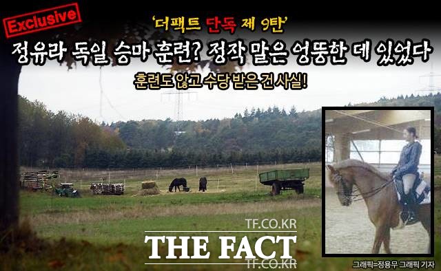 정유라 씨는 지난해 독일에서 승마훈련을 했다고 보도한 뒤 대한승마협회로부터 훈련수당을 받았으나 실제로 말은 다른 곳에 있었던 것으로 확인됐다./프랑크푸르트=이효균 기자, 그래픽=정용무 기자