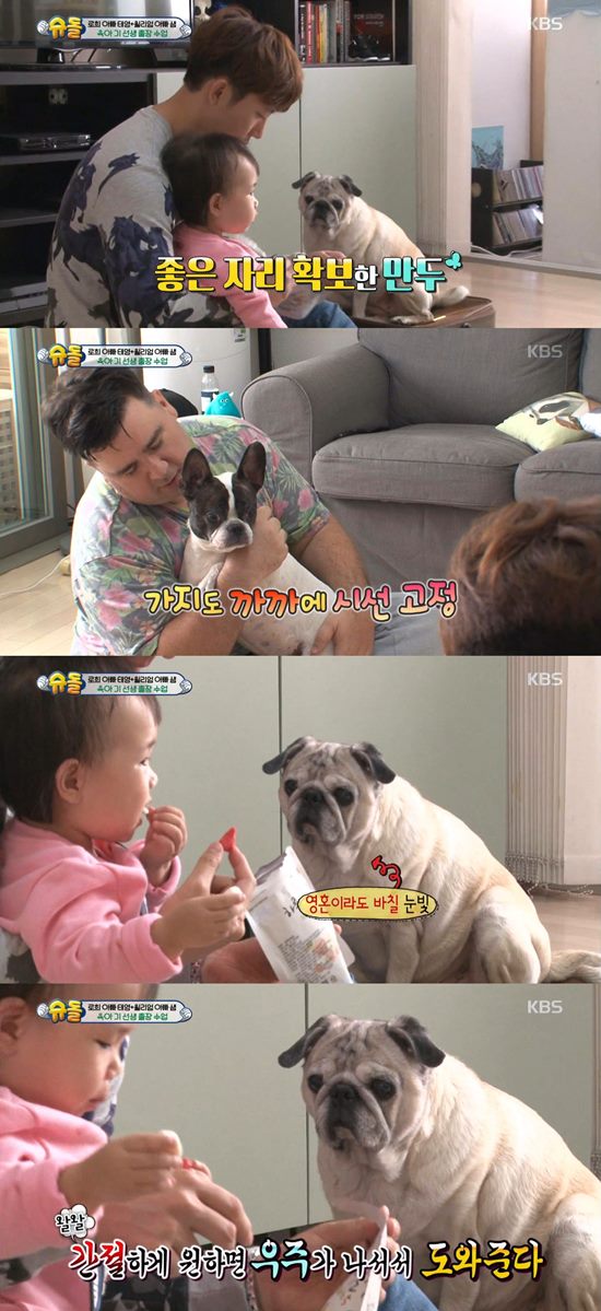 슈퍼맨이 돌아왔다 풍자. 슈퍼맨이 돌아왔다에서 샘 해밍턴이 키우는 강아지의 식탐 장면이 박근혜 대통령의 발언을 풍자했다. /슈퍼맨이 돌아왔다 방송 캡처