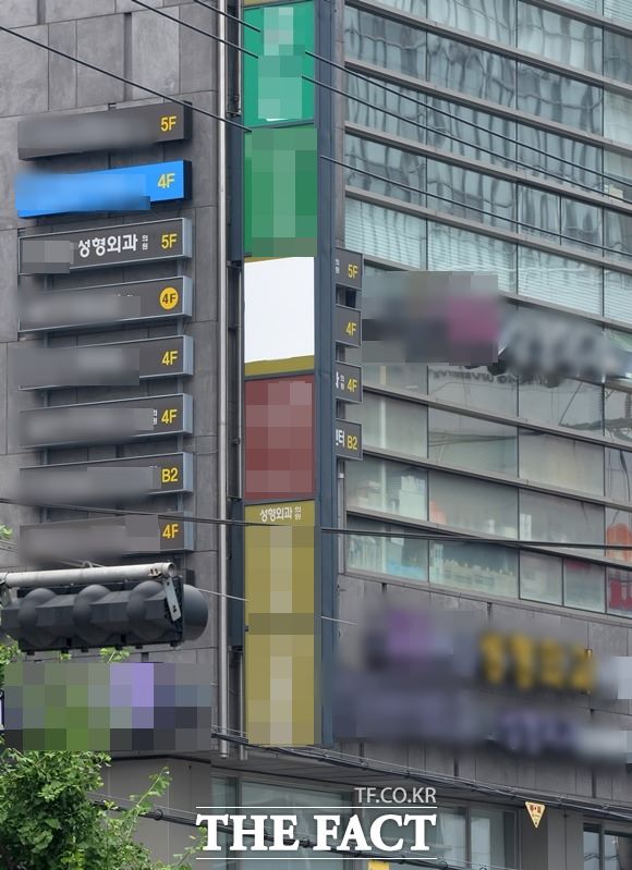 성형외과 전문의 A 원장은 지난해 에토미를 향정으로 지정하려고 했다. 너무 무분별하게 사용해 문제가 발생할 가능성 때문이었다. 그런데 지정이 안 됐다며 그 배경에 대해 또 다른 의문을 제기했다. /더팩트DB