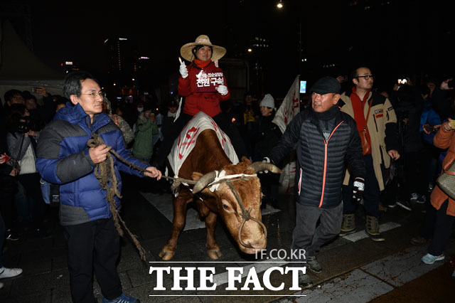 수원에서 소와 함께 올라온 농민