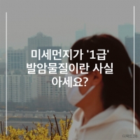  [TF카드뉴스] '1급 발암물질' 미세먼지, 얕보면 큰일난다!