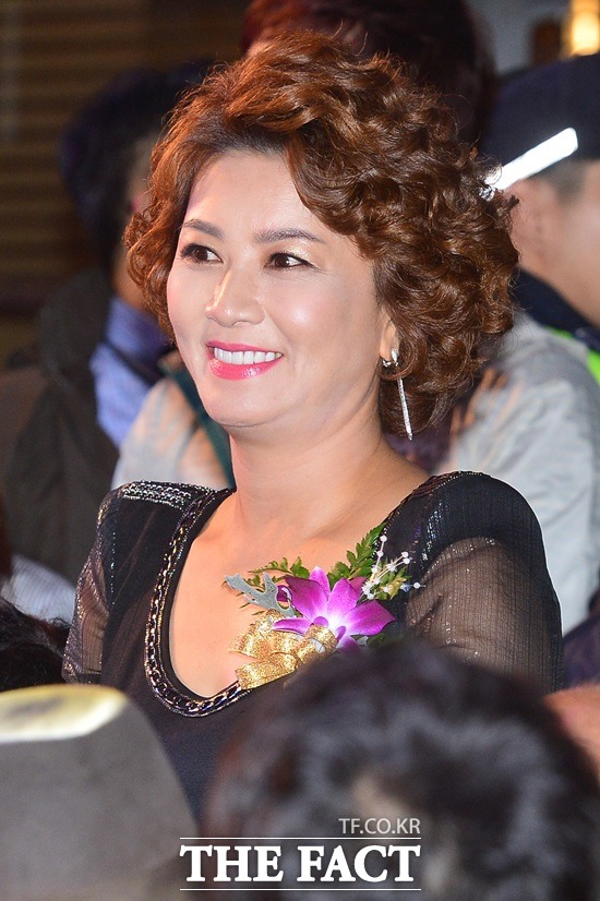 김혜선 회생 신청. 김혜선이 전 남편의 채무로 법원에서 회생절차를 밟고 있다고 조선일보가 5일 보도했다./더팩트DB