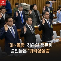  [TF카드뉴스] '아~몰랑' 최순실 4차 청문회 증인들 '기억상실증'