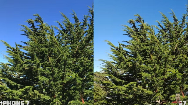 애플 아이폰7와 삼성전자 갤럭시S7 카메라를 비교한 유튜브 영상이 누리꾼들의 관심을 끌고 있다. / 유튜브 영상 캡처