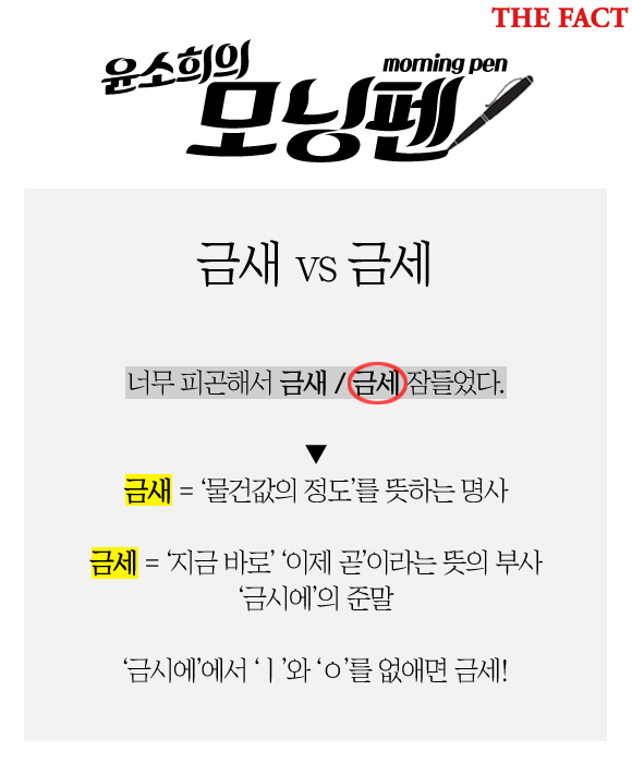 윤소희의 모닝펜. 너무 피곤해서 금새 / 금세 잠들었다에서 맞는 단어는? /윤소희 기자