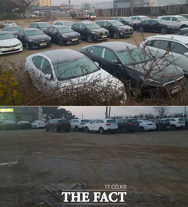 경기도 화성시 우정읍 이화리의 비포장 공터에 K7, K5, K3, 쏘렌토, 니로 등 기아자동차 신차 수십여 대가 야적돼 있는 현장이 25일 더팩트 취재진에 포착됐다. 흙과 자갈로 이뤄진 공터는 일체의 보안 시설이 돼 있지 않았다. /화성=권오철 기자
