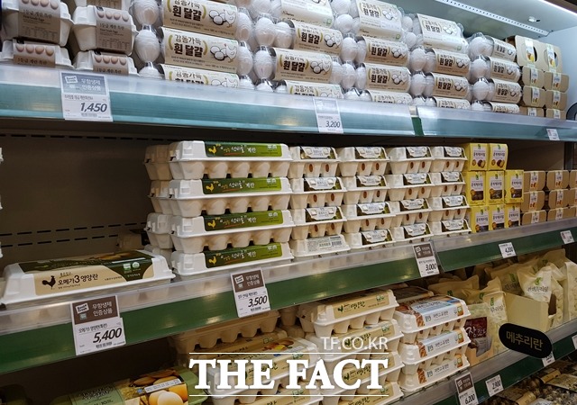 농림축산식품부가 배포한 자료에 따르면 조류인플루엔자(AI) 여파로 국내 계란 가격이 미국·스페인·캐나다·호주·뉴질랜드 등보다 2~3배 높은 것으로 나타났다. /더팩트DB